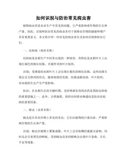 如何识别与防治常见病虫害