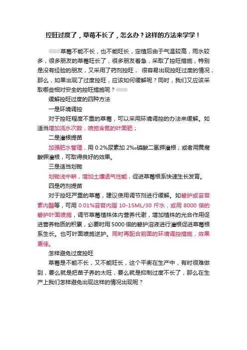 控旺过度了，草莓不长了，怎么办？这样的方法来学学！