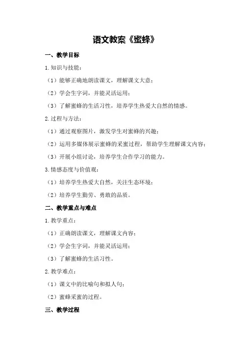 语文教案《蜜蜂》