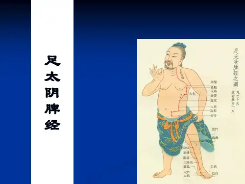 足太阴脾经医学幻灯片