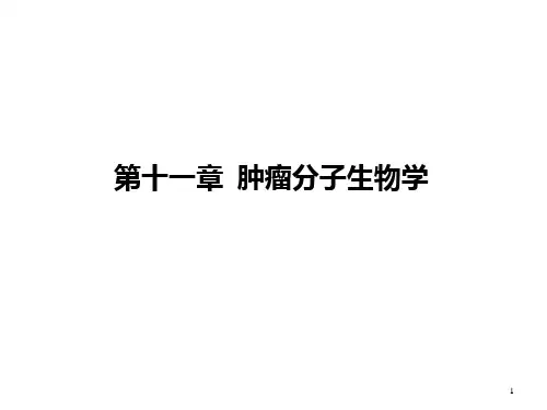 肿瘤分子生物学