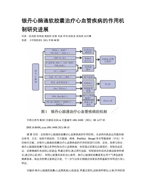 银丹心脑通软胶囊治疗心血管疾病的作用机制研究进展