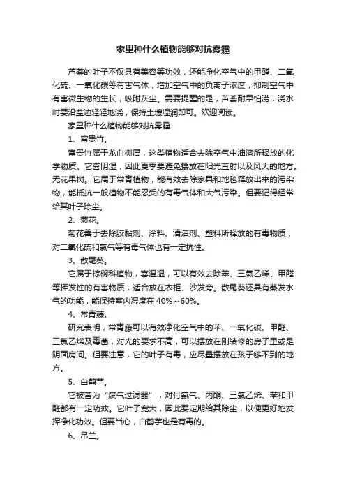 家里种什么植物能够对抗雾霾