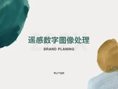 遥感数字图像处理一