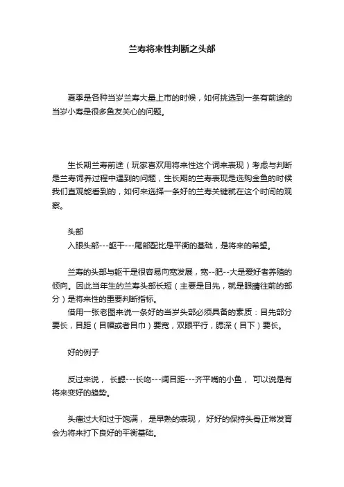 兰寿将来性判断之头部