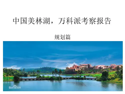 美林湖万科派考察报告 共29页