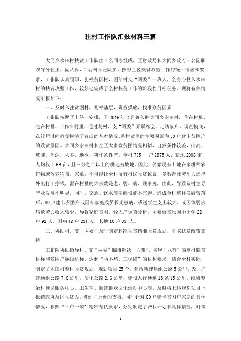 驻村工作队汇报材料三篇范文精选