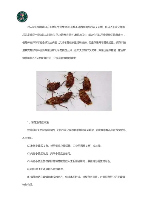 如何简单制作天然除蟑螂药