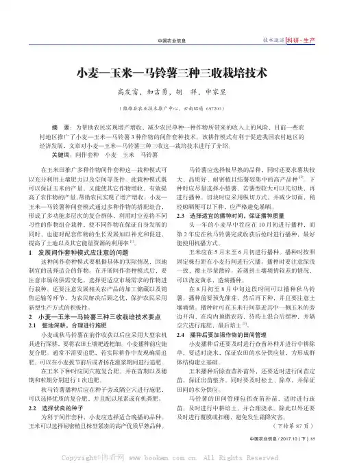 小麦—玉米—马铃薯三种三收栽培技术