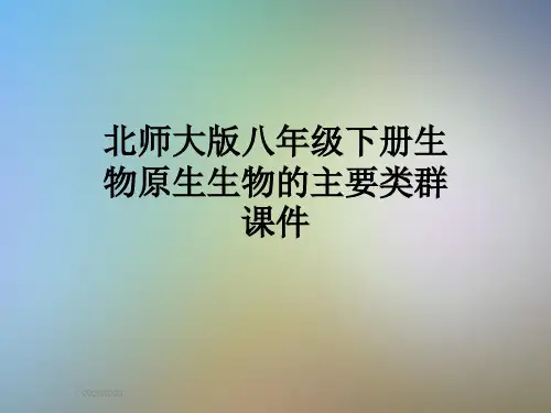北师大版八年级下册生物原生生物的主要类群课件