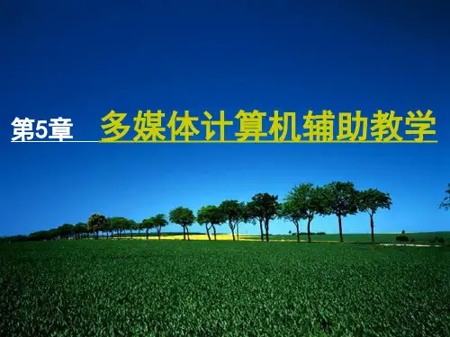 第五章 多媒体计算机辅助教学PPT课件