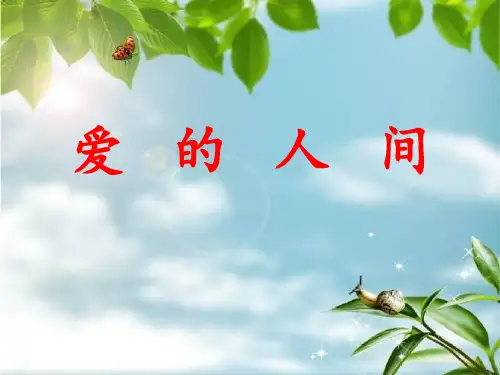 爱的人间优质课公开课课件