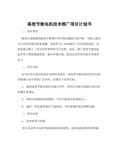 高效节能电机技术推广项目计划书