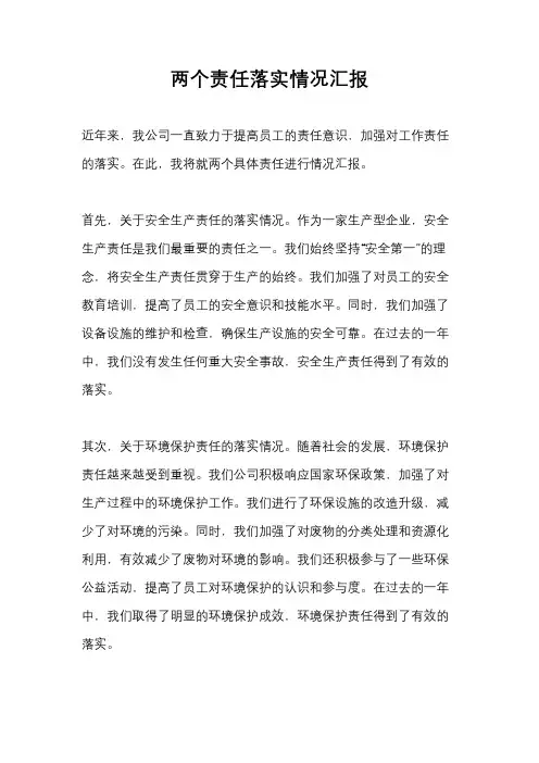 两个责任落实情况汇报