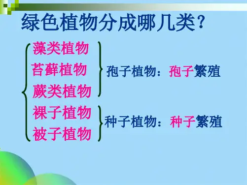 生物圈中的绿色植物(共25张PPT)