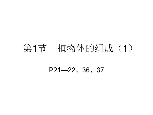 第1节植物体的组成(1)PPT课件