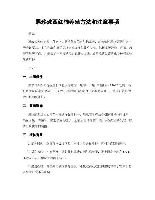 黑珍珠西红柿养殖方法和注意事项