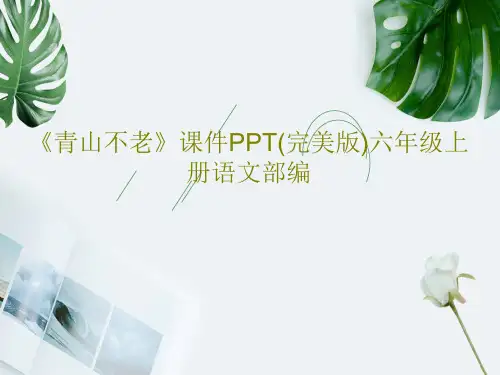 《青山不老》课件PPT(完美版)六年级上册语文部编共47页PPT