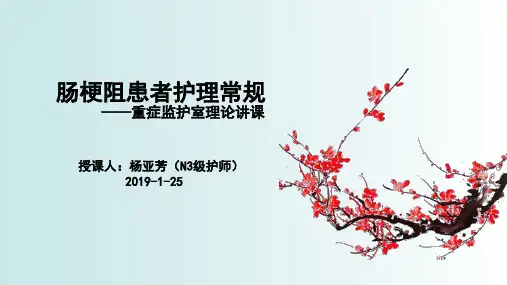 肠梗阻护理常规