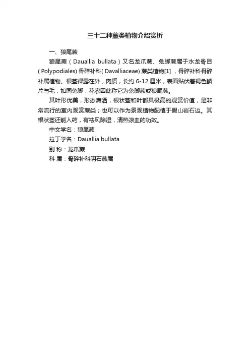 三十二种蕨类植物介绍赏析