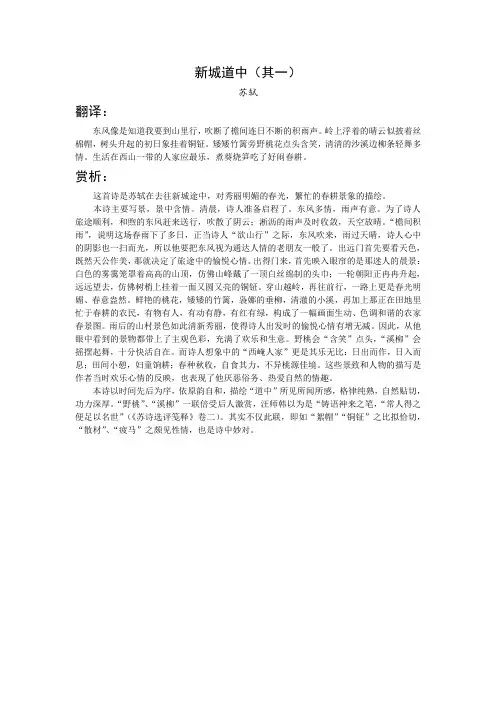新城道中(其一)翻译及赏析