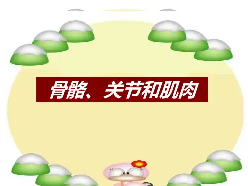 教科版小学科学四年级上册《骨骼、关节和肌肉》ppt课件
