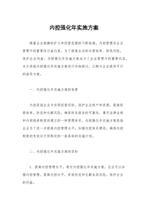 内控强化年实施方案