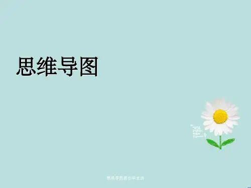 思维导图苏引华主讲
