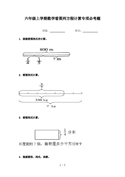 六年级上学期数学看图列方程计算专项必考题