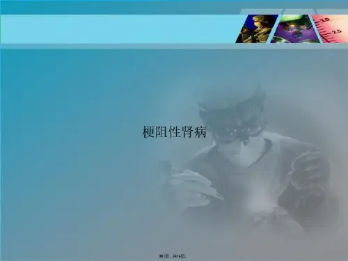 梗阻性肾病(共14张PPT)