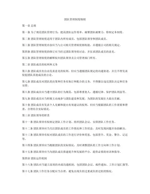 团队管理制度细则