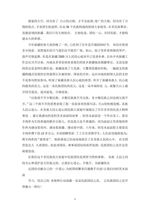 精选民族团结进步的征文5篇