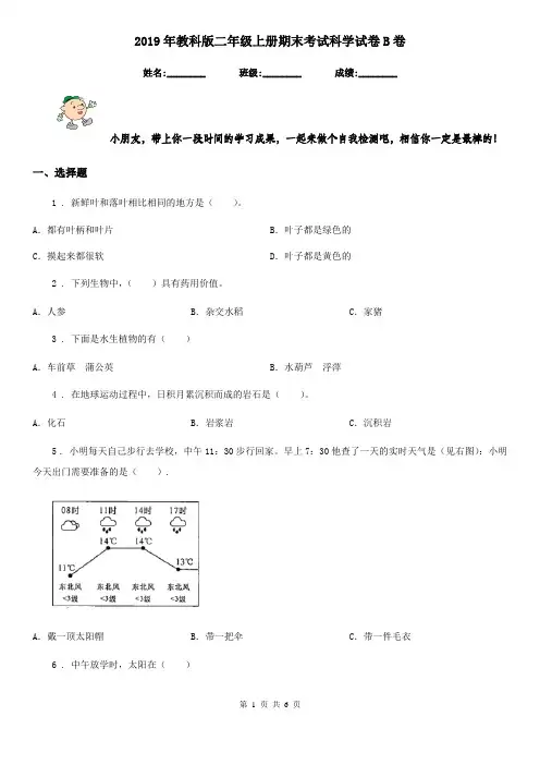 2019年教科版二年级上册期末考试科学试卷B卷