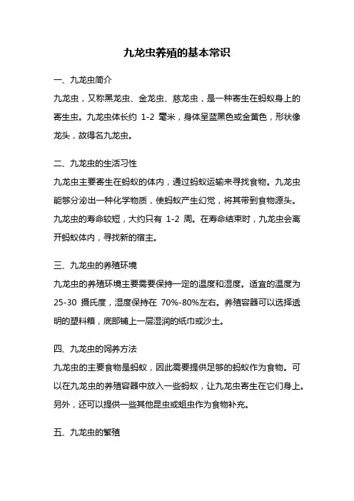 九龙虫养殖的基本常识