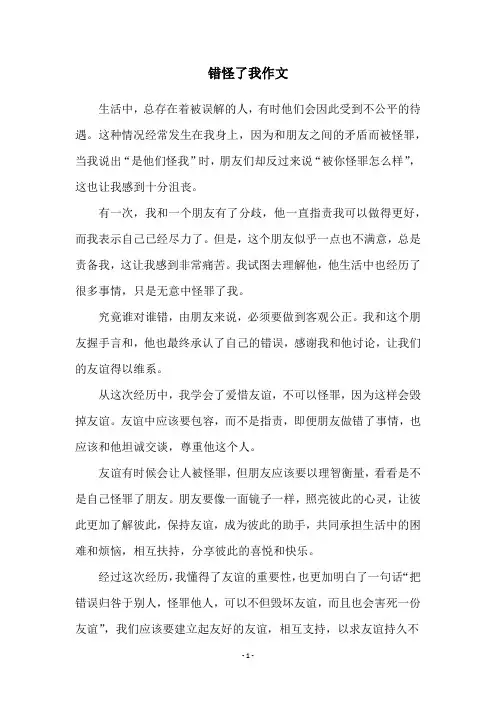 错怪了我作文
