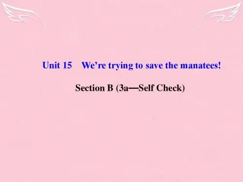 【金榜学案】九年级英语全册 Unit 15 We’re trying to save the m