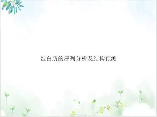 蛋白质的序列分析及结构预测课件PPT