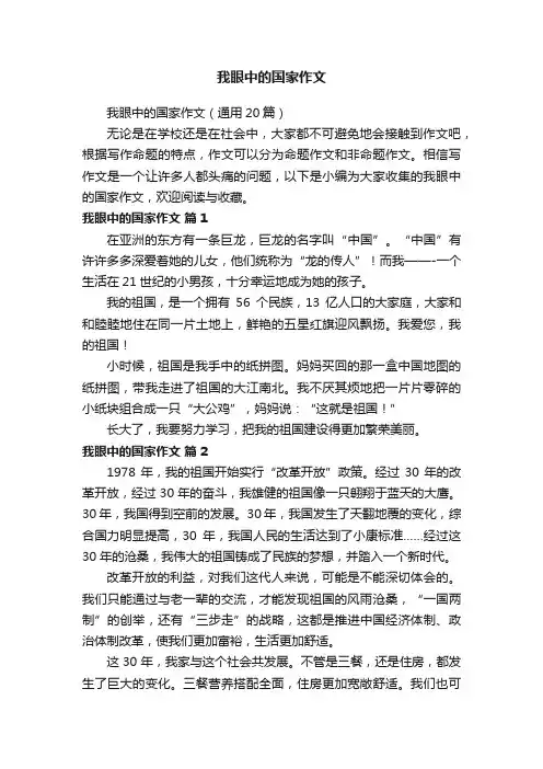 我眼中的国家作文