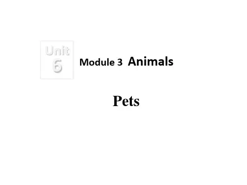 牛津深圳版八年级英语下册Unit6 pets课件(共40张PPT)
