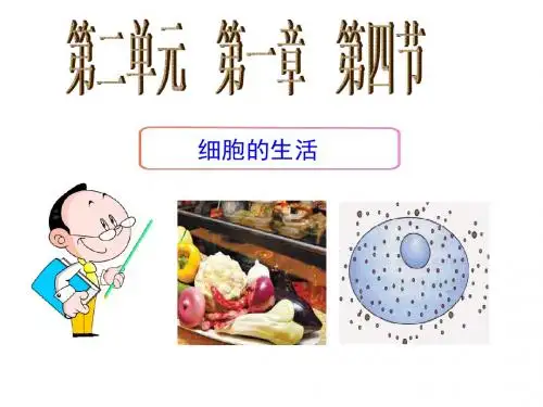 第四节-细胞的生活