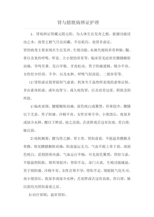 肾与膀胱病辨证护理