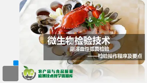 副溶血性弧菌检验-检验操作程序及要点-微课件