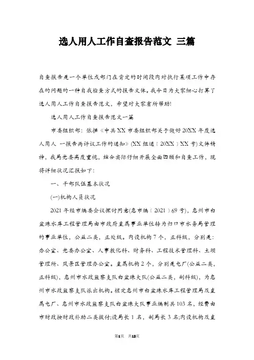 选人用人工作自查报告范文 三篇
