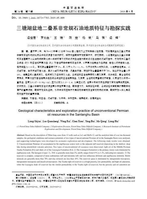 三塘湖盆地二叠系非常规石油地质特征与勘探实践