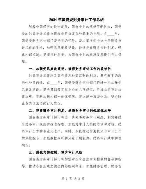 2024年国资委财务审计工作总结