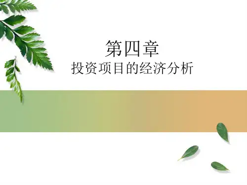 投资项目的经济分析