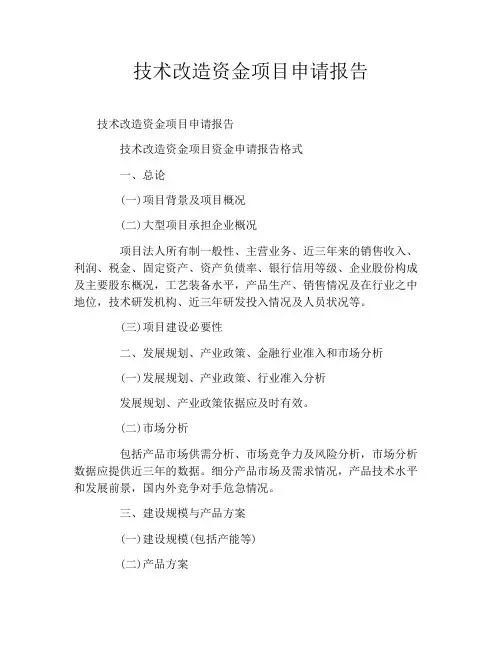 技术改造资金项目申请报告