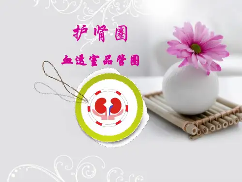 血透室品管圈幻灯片课件