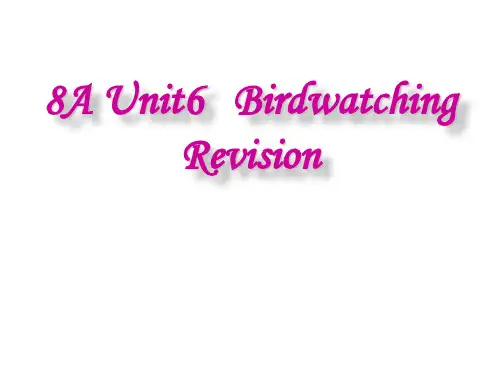 牛津译林版八年级英语上册Unit 6 Revision课件