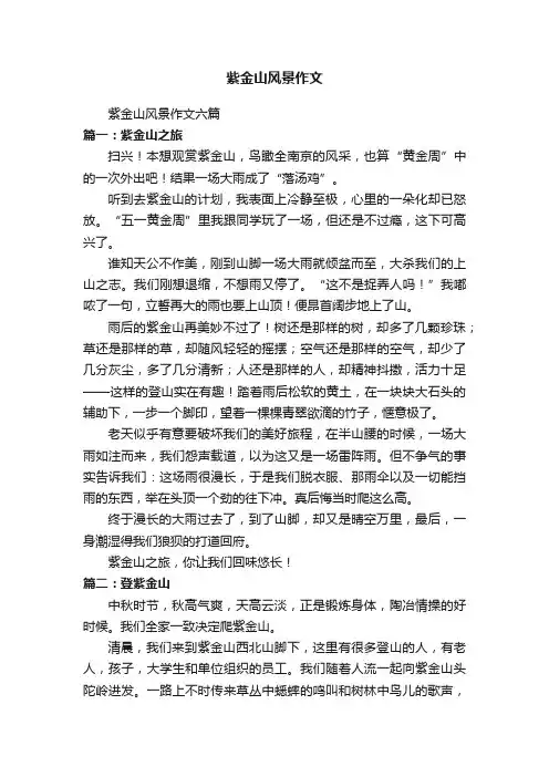 紫金山风景作文六篇